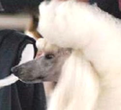Placeholder image